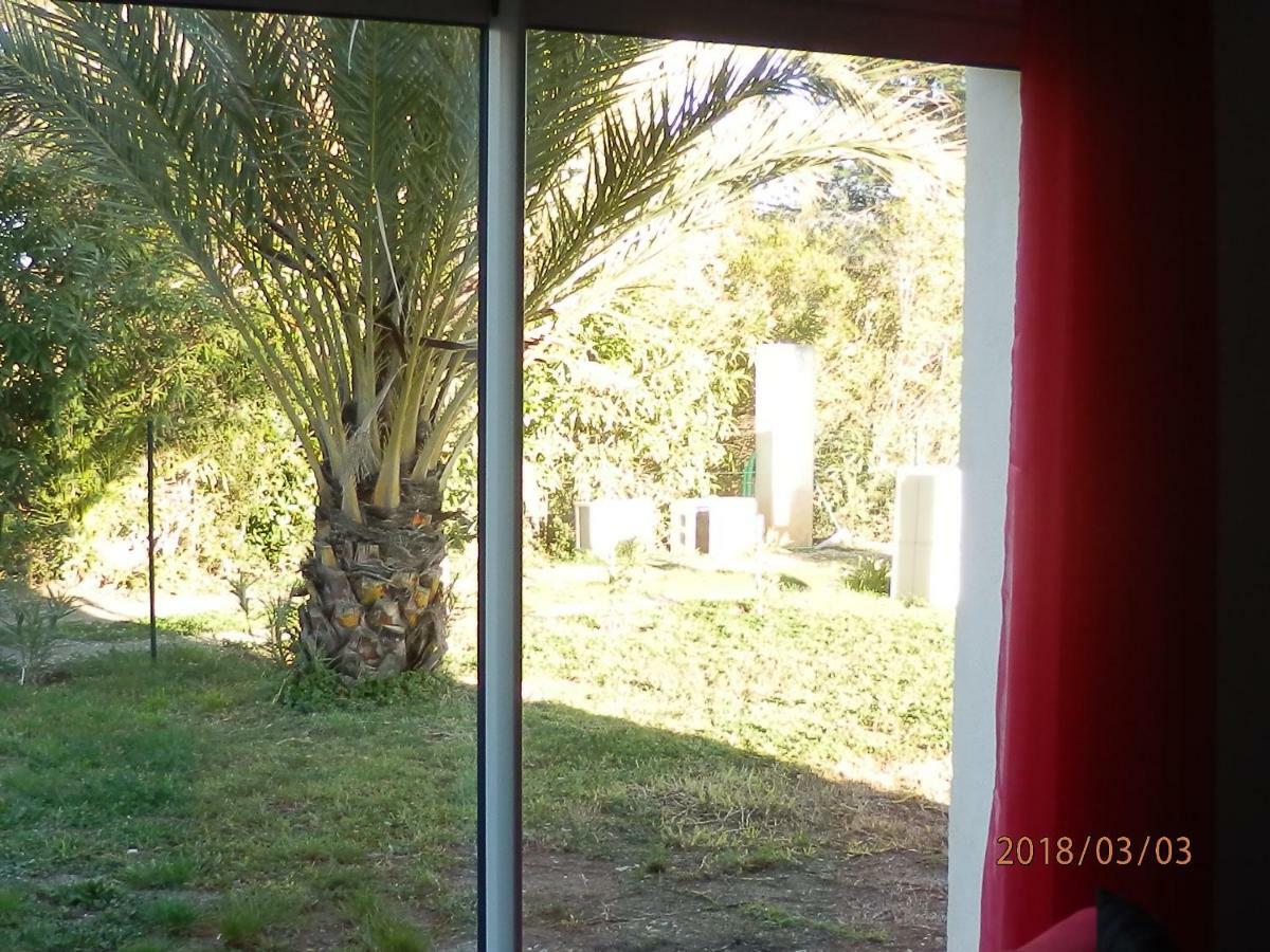 location vacances Linguizzetta Extérieur photo