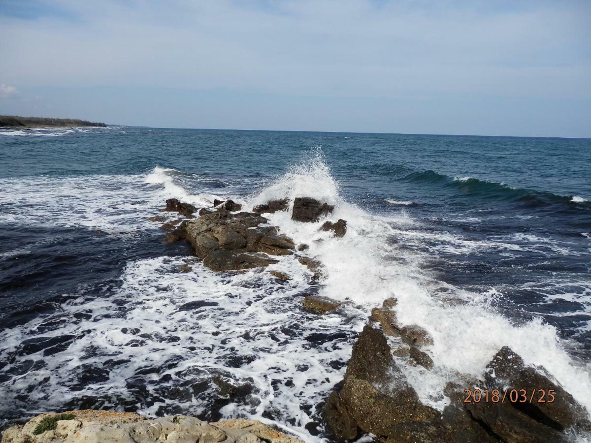 location vacances Linguizzetta Extérieur photo