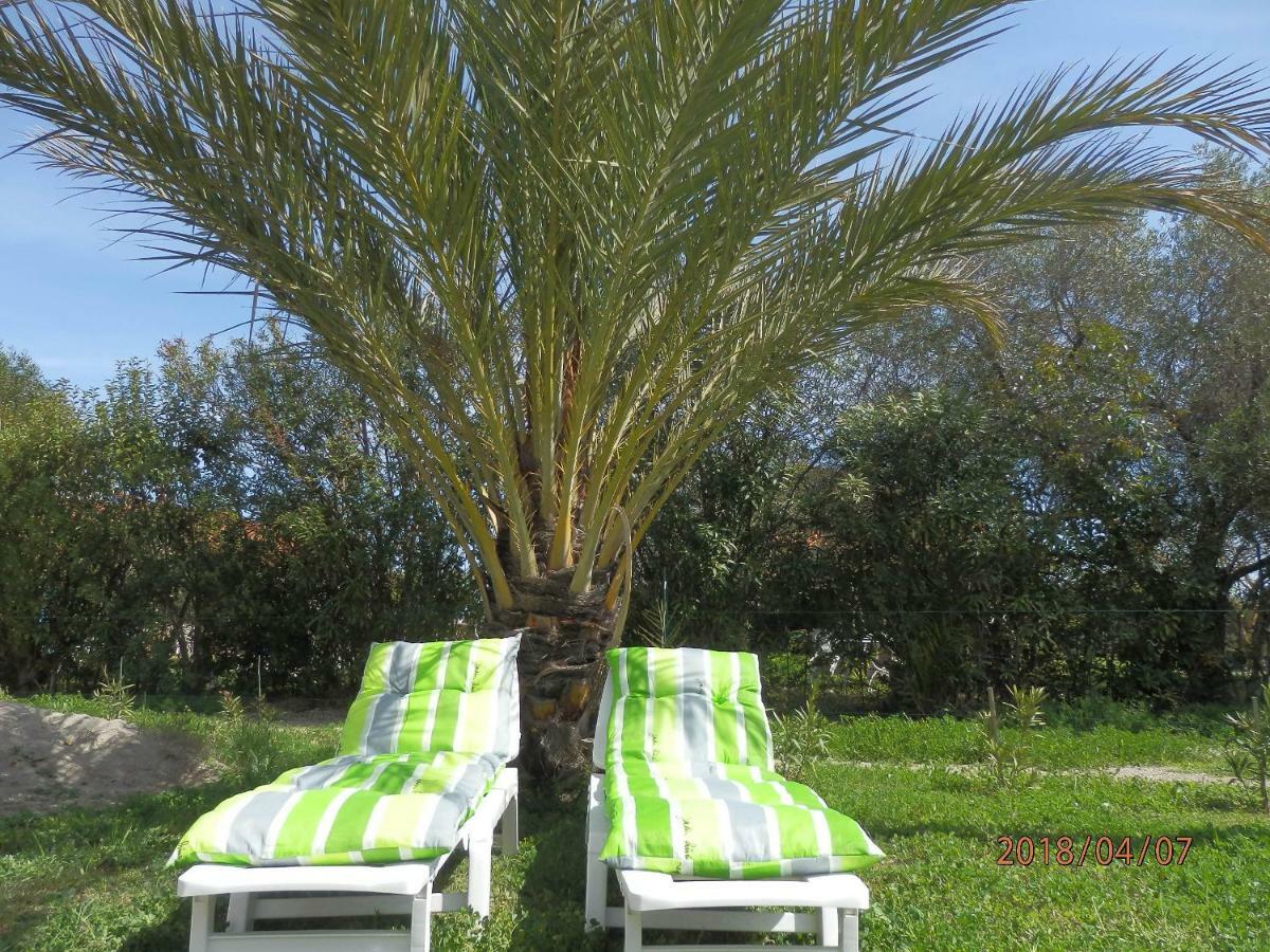 location vacances Linguizzetta Extérieur photo